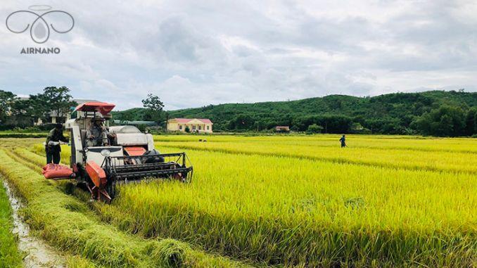 3 giảm 3 tăng trong nông nghiệp là gì? Tại sao phải giảm và tăng trong nông nghiệp %