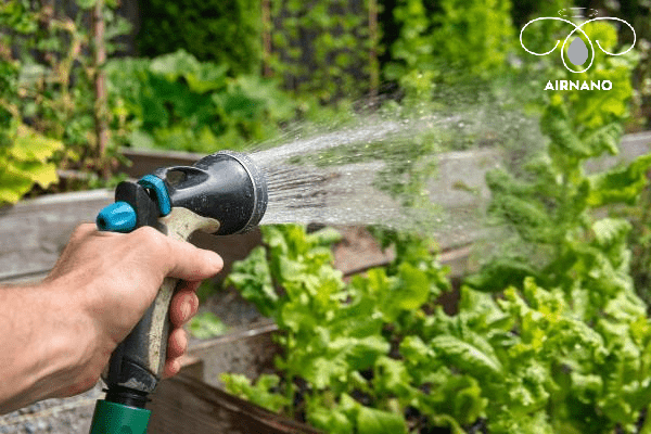 Phun thuốc trừ sâu bao lâu thì tưới nước? phun thuốc trừ sâu %