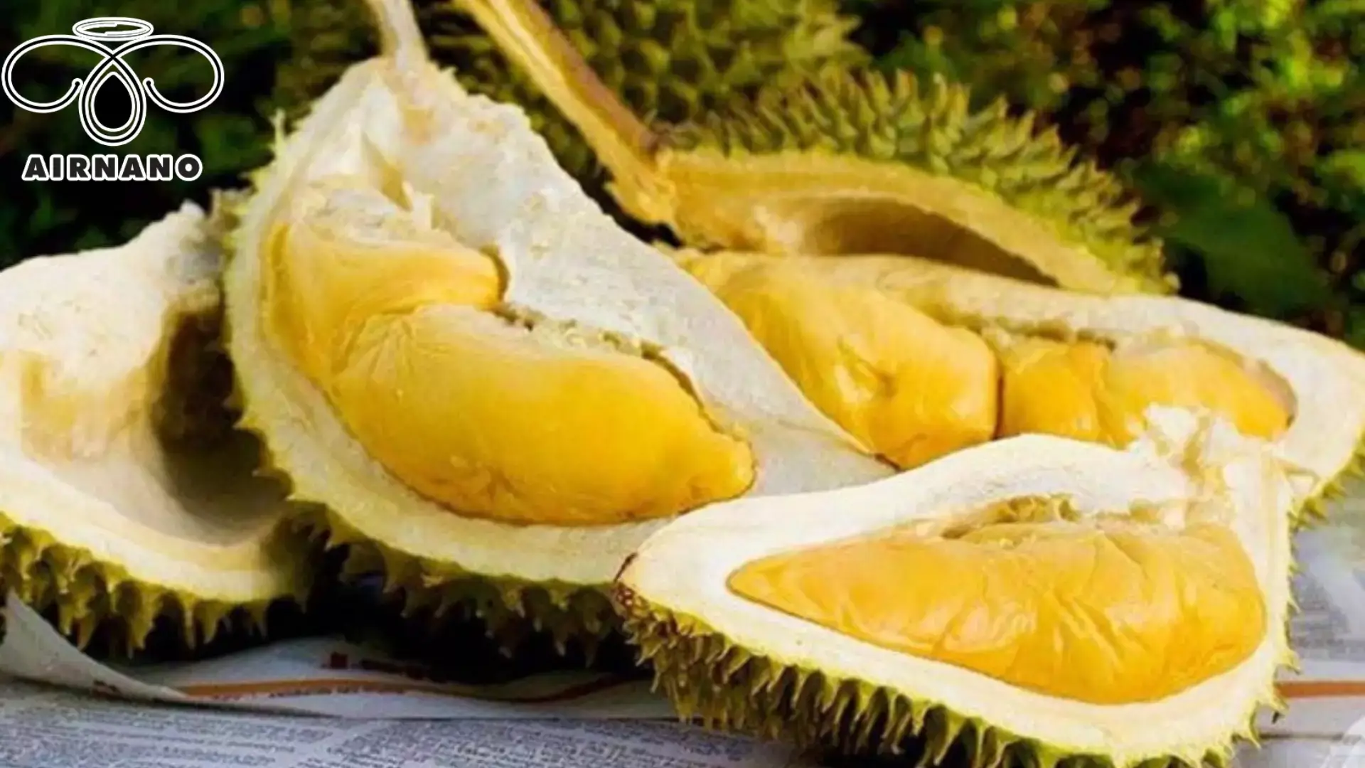 Thuốc nhúng sầu riêng có thật sự cần thiết? %