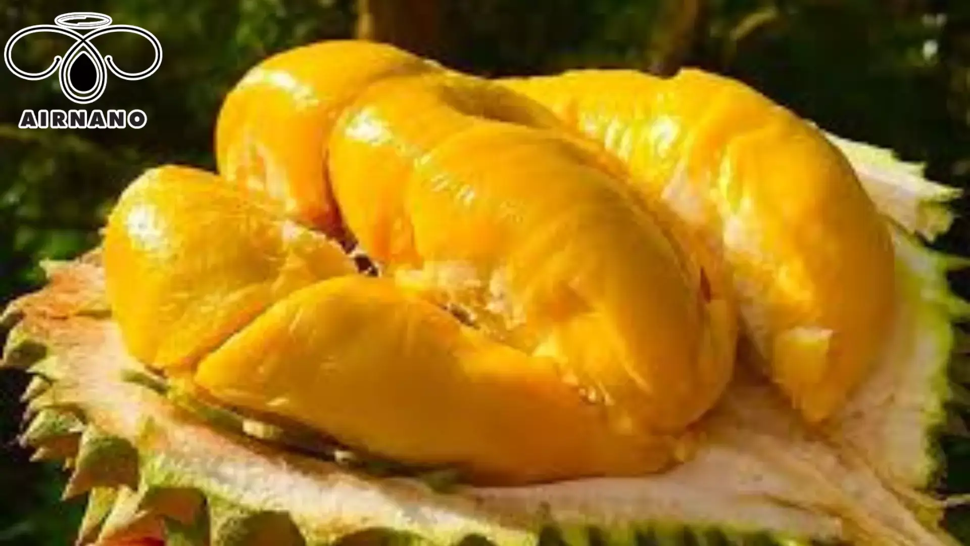 Trái sầu riêng Musang King