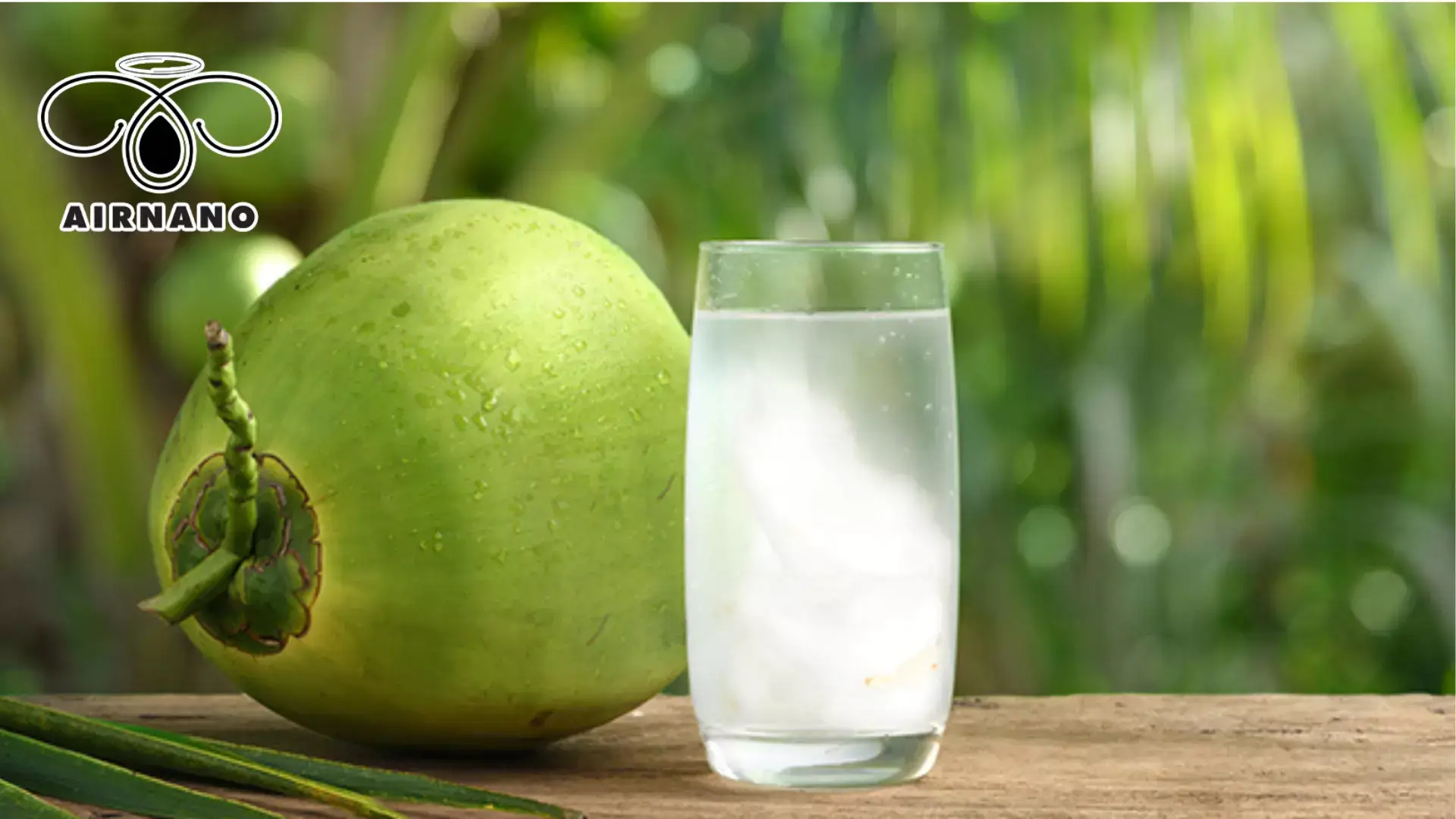 Giá dừa hôm nay tăng mạnh %