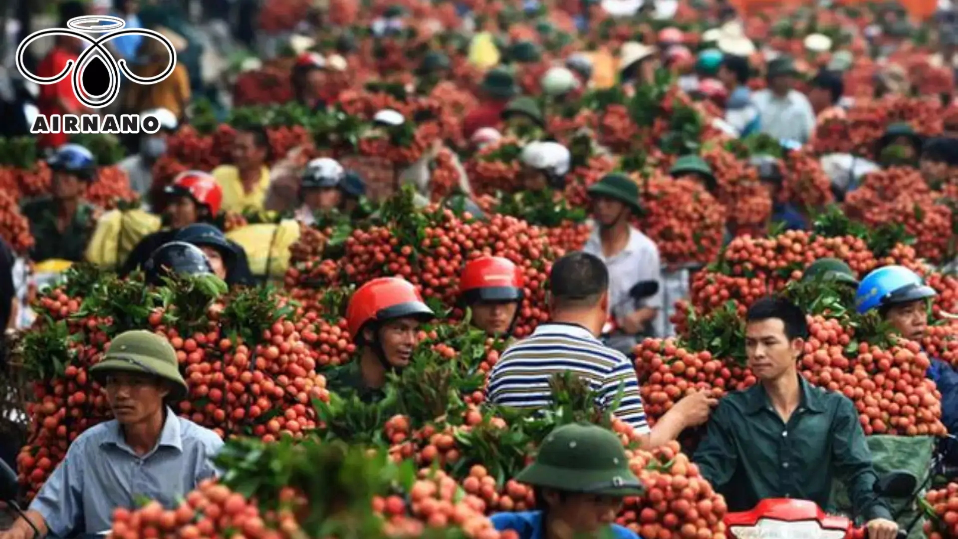 Giá vải thiều hôm nay là bao nhiêu? %