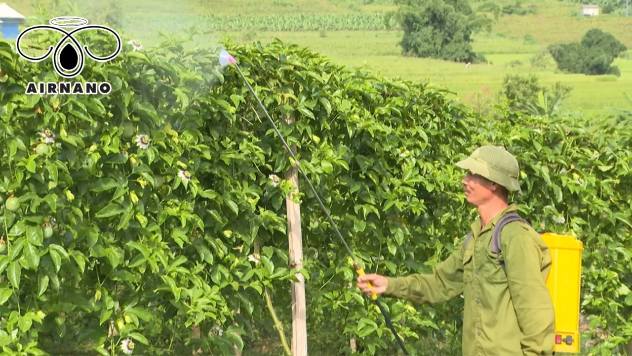 Máy bay phun thuốc cho chanh dây hiệu quả cao %