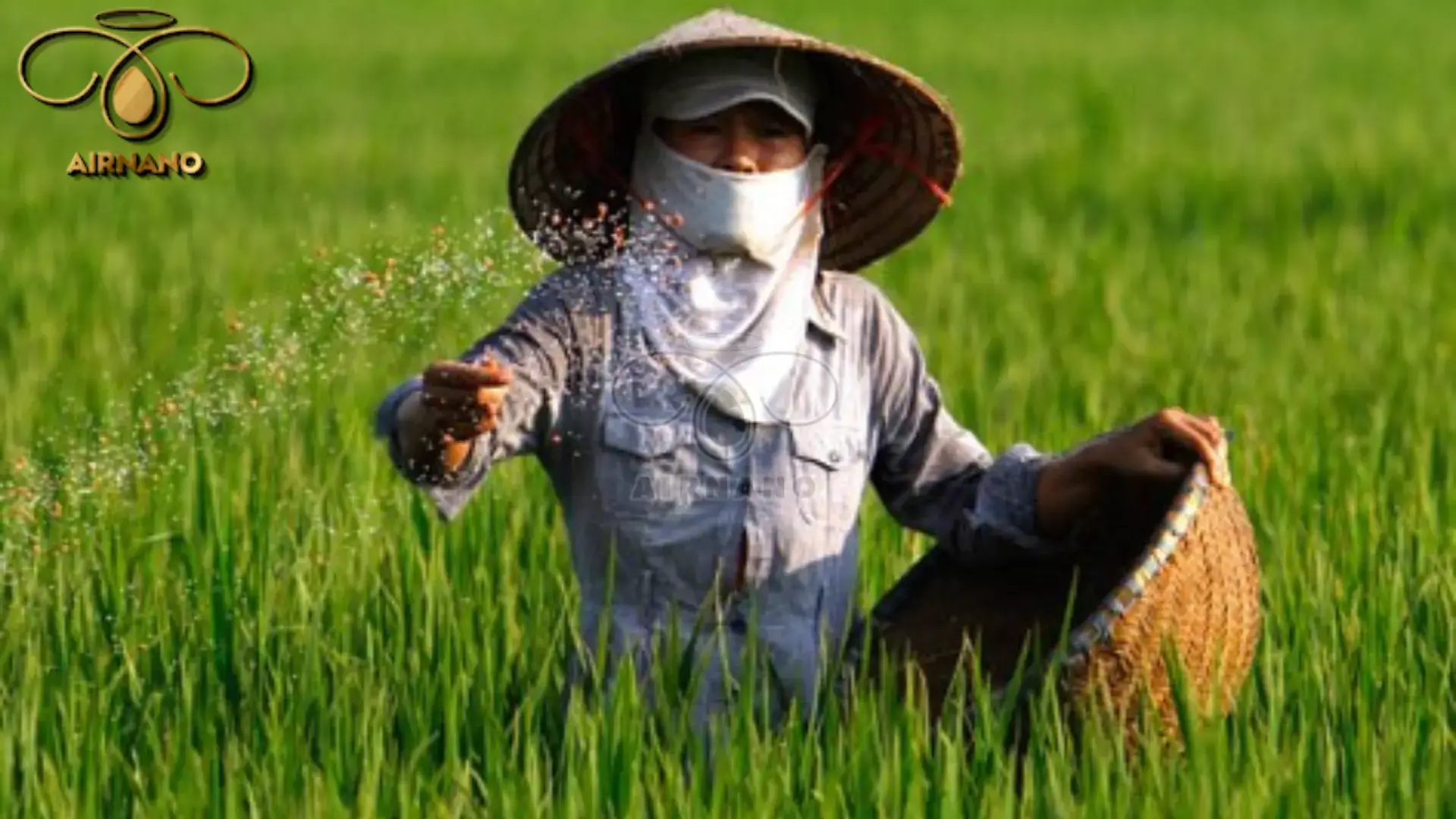 Phân bón giả là gì? Tác hại và cách nhận biết %