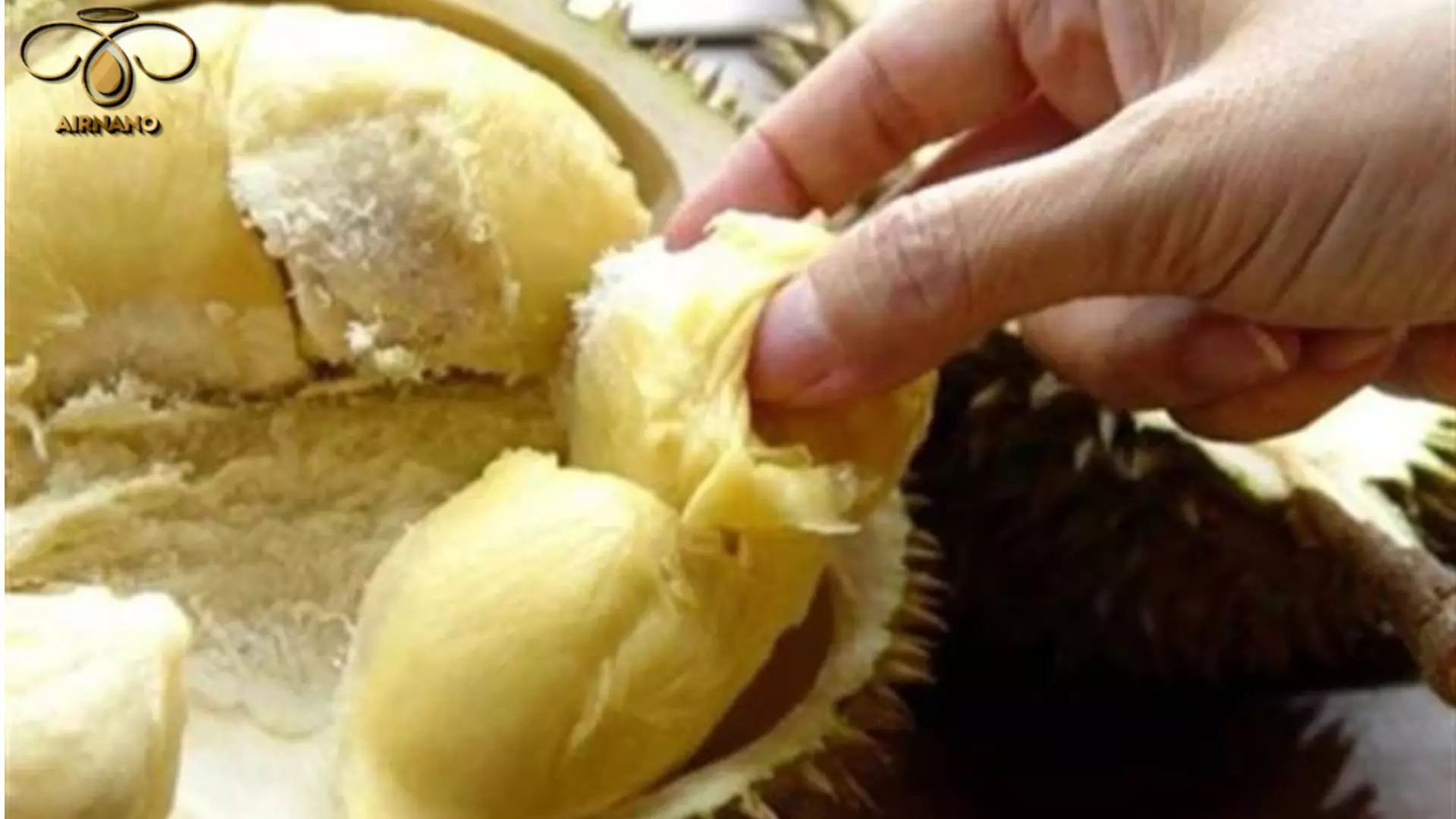 Sầu riêng chín cây được nhiều người ưa thích