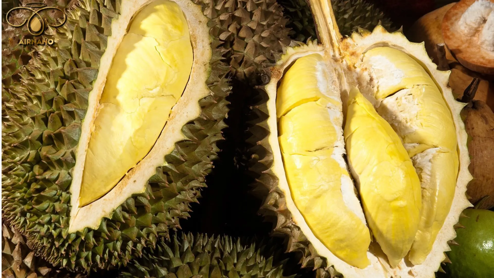 Sầu riêng Thái Monthong