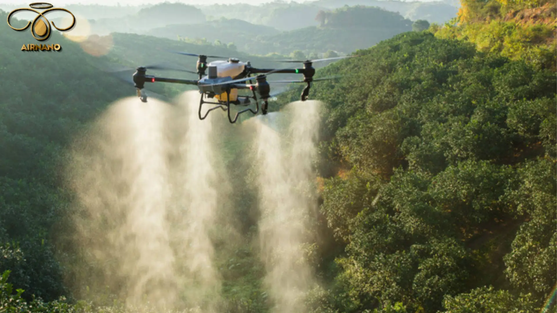 Máy bay phun thuốc cho cây sầu riêng