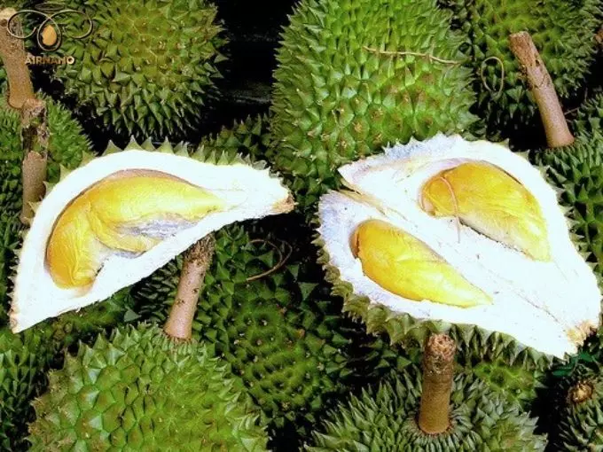 Sầu riêng Malaysia
