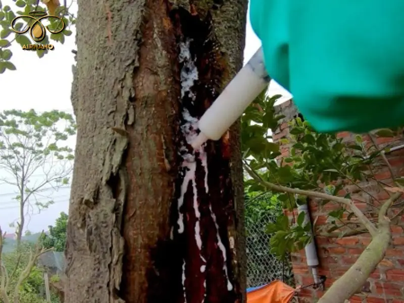 Biện pháp phòng ngừa