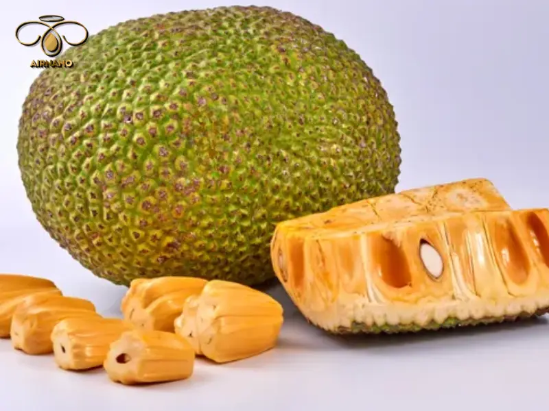 Mít Thái siêu sớm