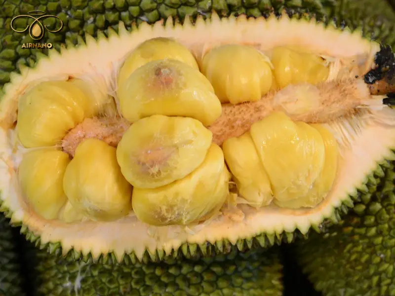 Mít tố nữ