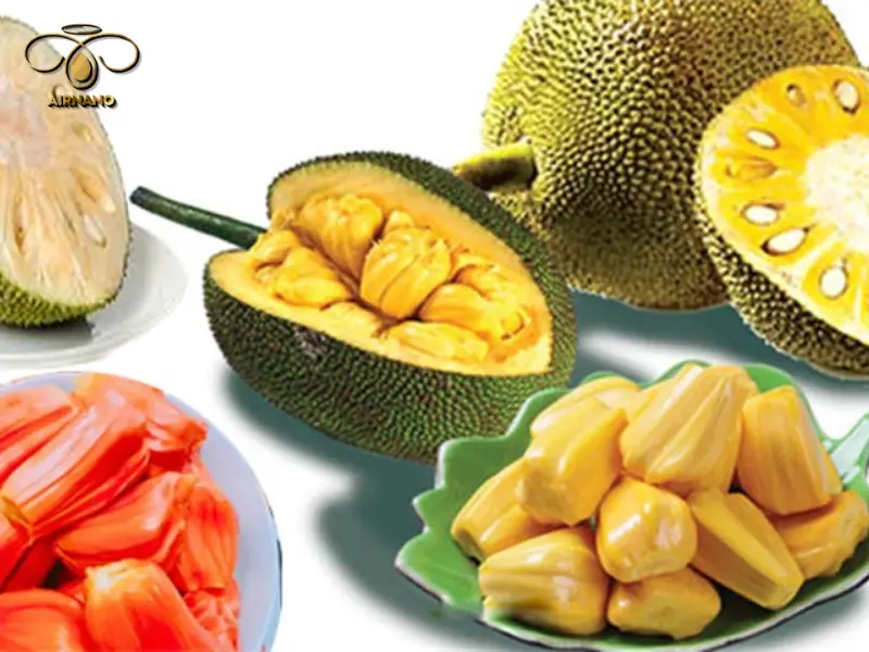 Giống mít phù hợp ở miền Bắc