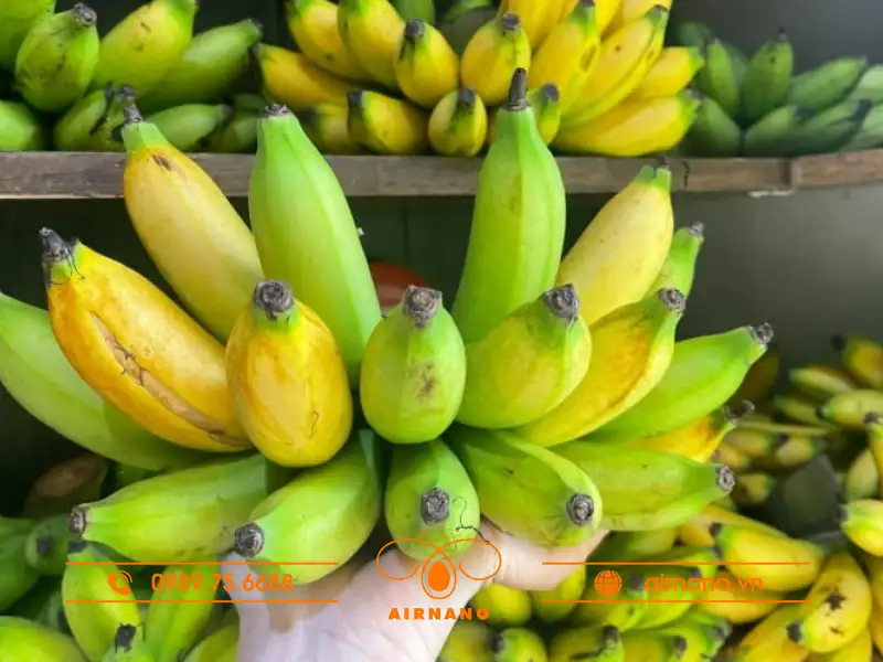 Nguồn gốc của chuối cau