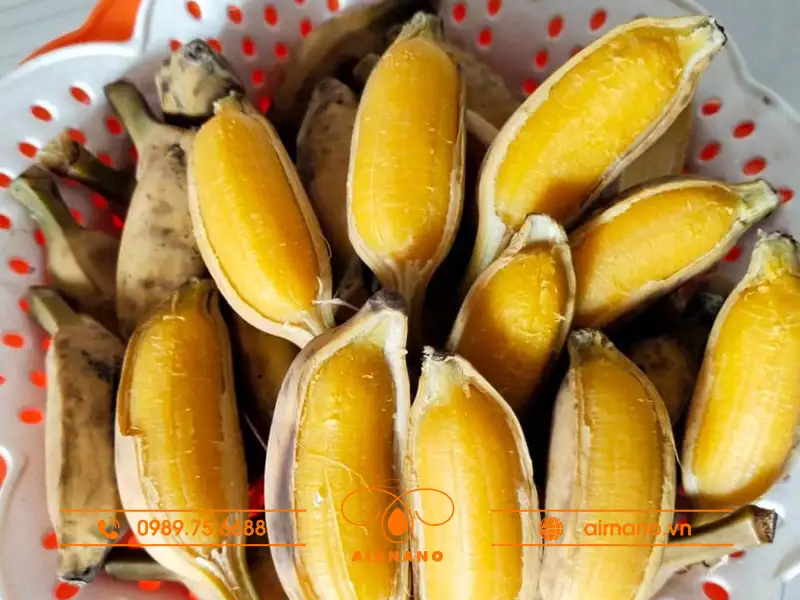 Đặc điểm nổi bật của cây chuối sáp