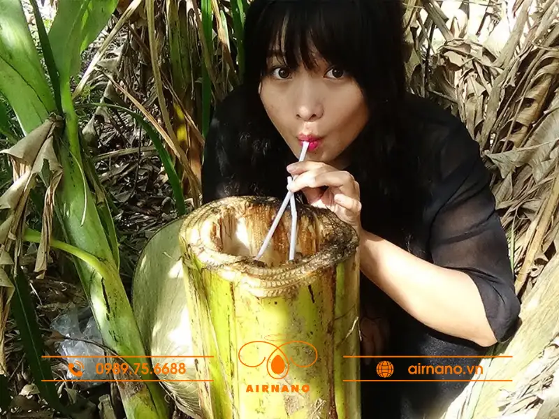 Đặc điểm sinh học của cây chuối nước