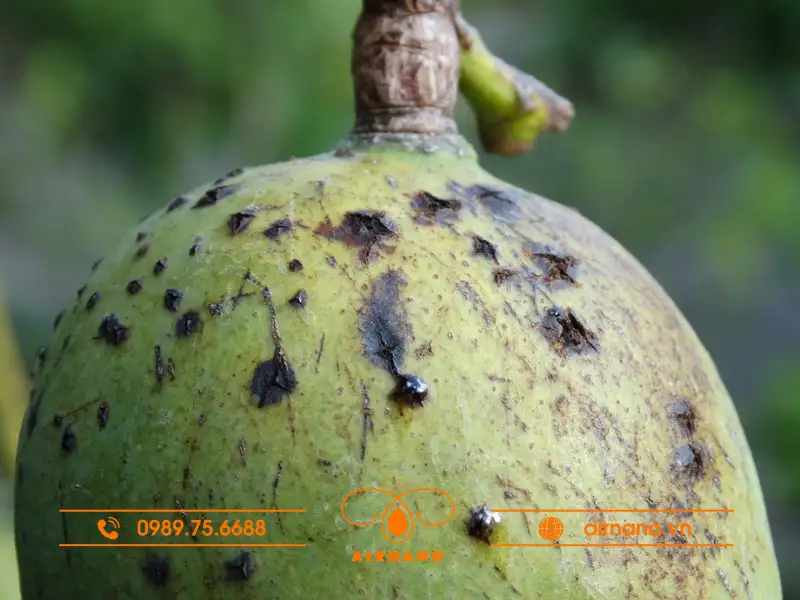 Triệu chứng nhận biết