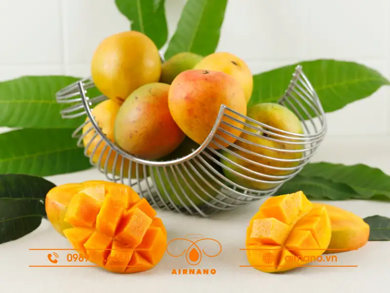Giống xoài úc