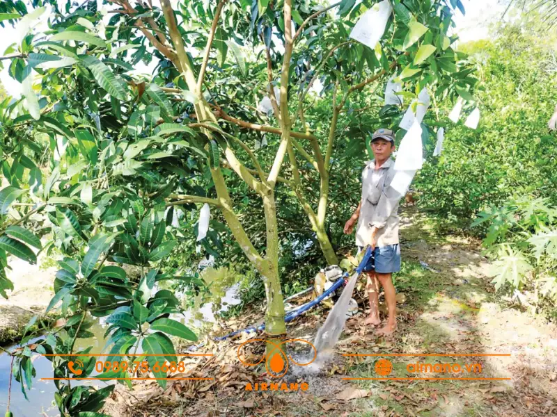 Biện pháp phòng trừ, tiêu diệt bọ xít xanh