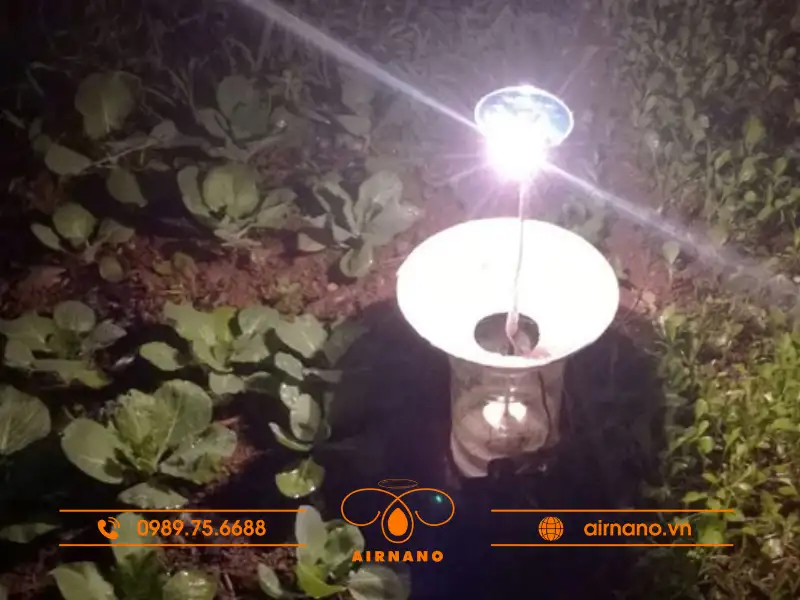 Các biện pháp phòng trừ và diệt Dế trũi hiệu quả