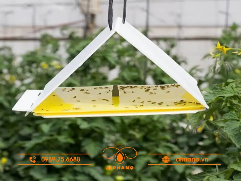 Các biện pháp phòng trừ và diệt trừ sâu đo hiệu quả