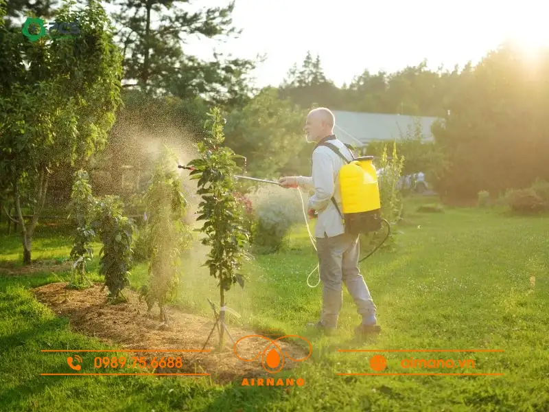 Cách diệt trừ bọ lá hiệu quả