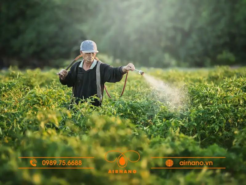 Cách diệt trừ nhện trắng hiệu quả trên cây trồng