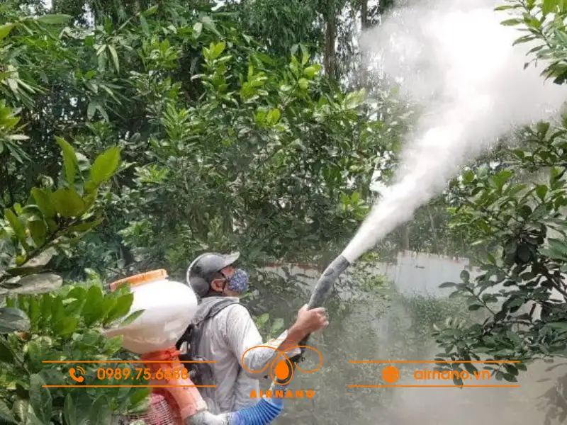 Cách phòng tránh sâu róm trên cây trồng