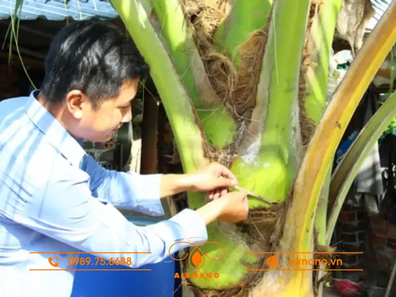 Phương pháp phòng trừ và cách tiêu diệt bọ dừa hiệu quả