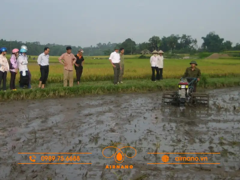 Biện pháp diệt trừ sâu cắn chẽn