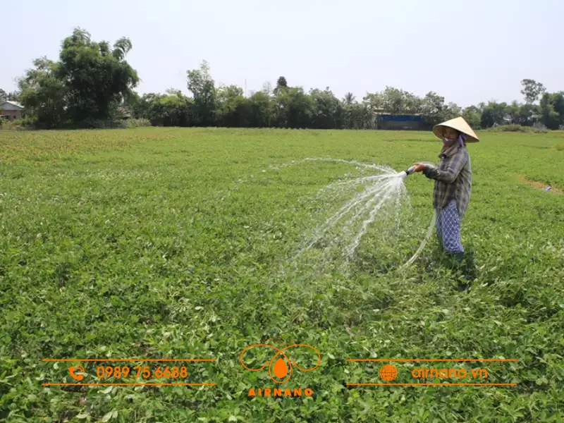 Biện pháp phòng trừ mọt lạc