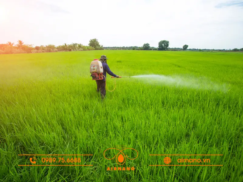 Điều trị bệnh bạc lá