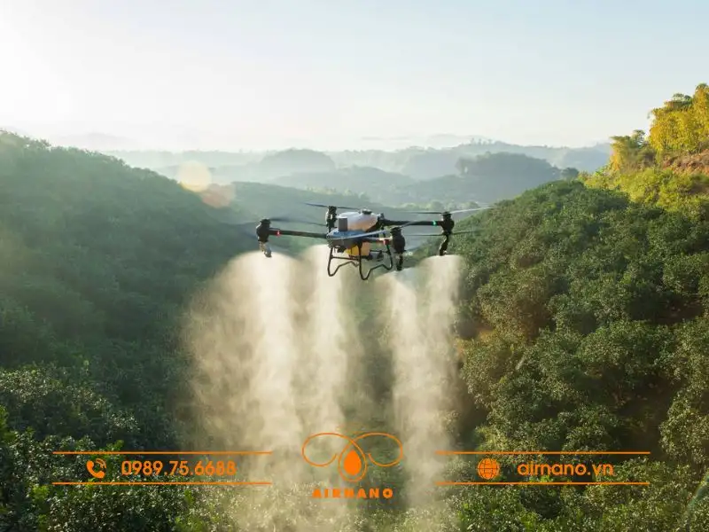 DJI Agras T50_ Giải pháp máy bay phun thuốc tối ưu cho cây cà phê