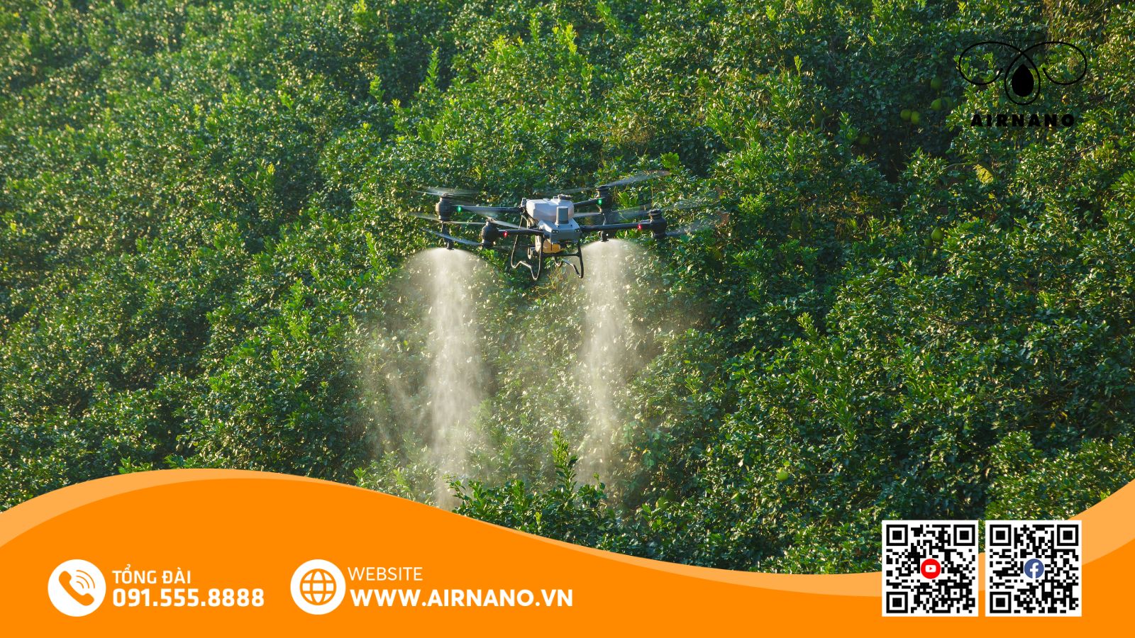 DJI Agras T50_ Giải pháp máy bay phun thuốc tối ưu cho cây nhãn