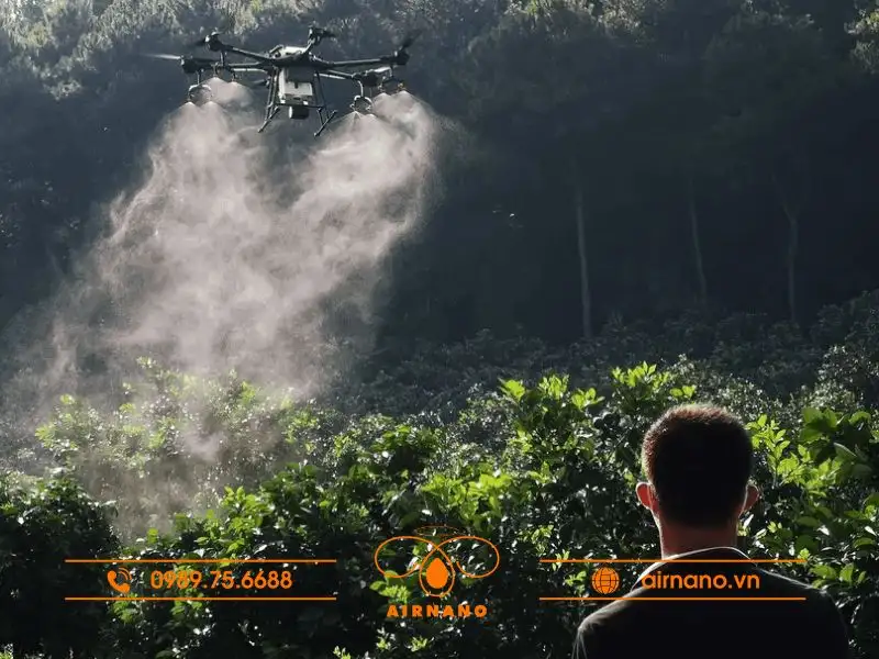 Lợi ích của máy bay phun thuốc cho cây cà phê