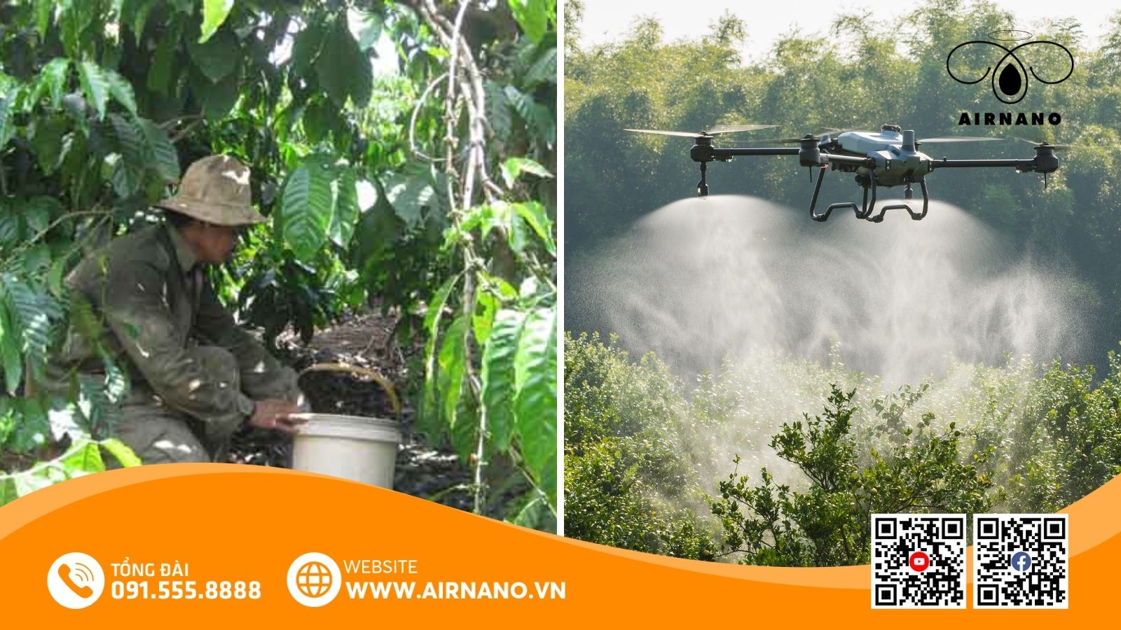 So sánh phương pháp phun truyền thống và Drone phun thuốc cho cây cam