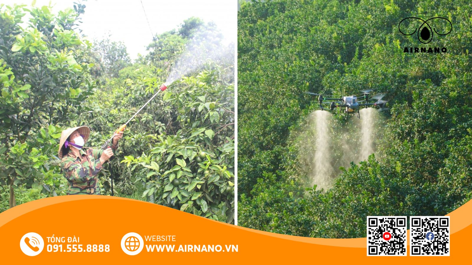 So sánh phương pháp phun truyền thống và Drone phun thuốc cho cây chanh dây