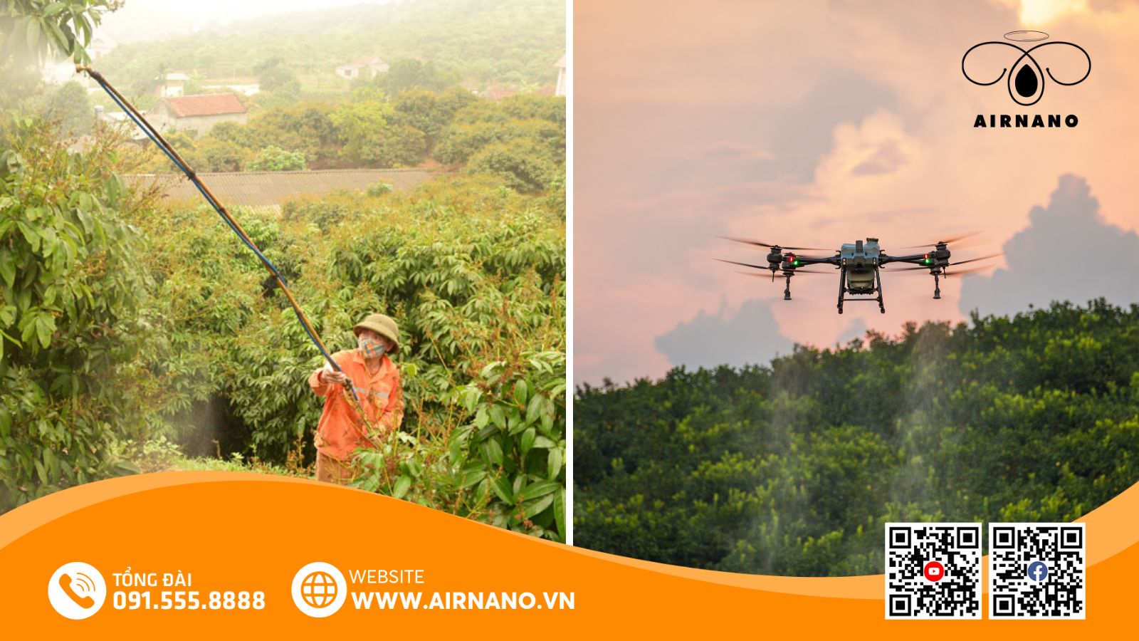 So sánh phương pháp phun truyền thống và Drone phun thuốc cho vải
