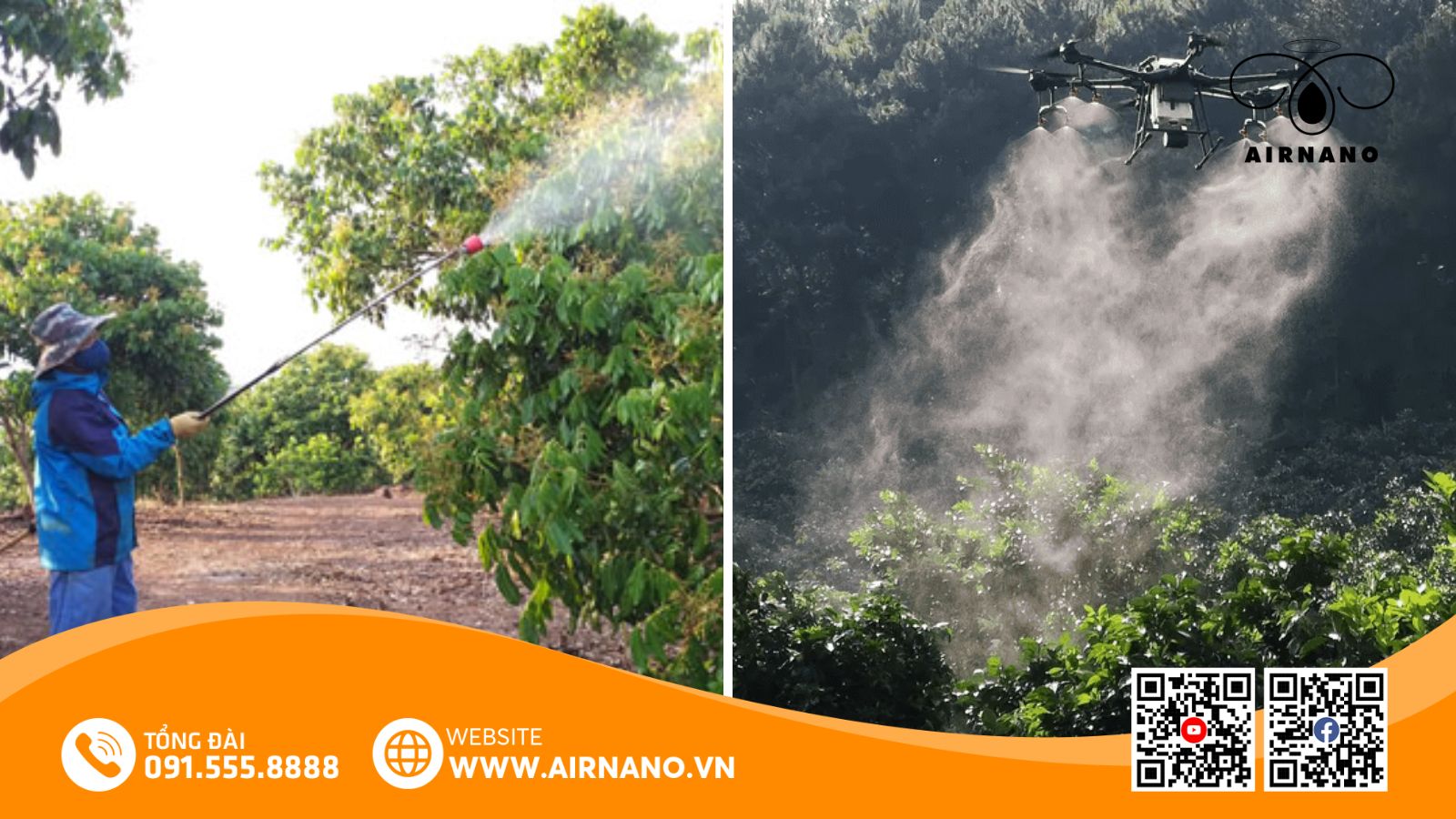 So sánh phương pháp phun truyền thống và drone phun thuốc tự động cho cây nhãn
