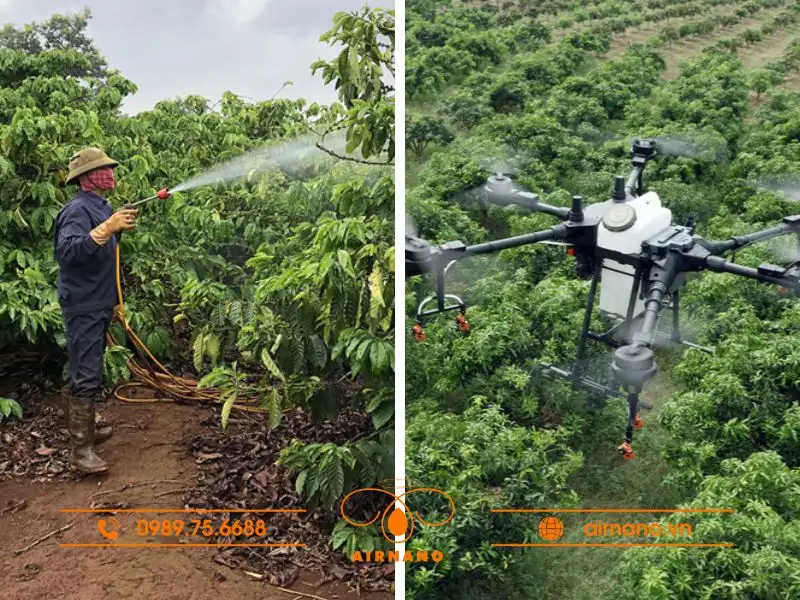 So sánh phương pháp phun truyền thống và máy bay phun thuốc cho cây cà phê