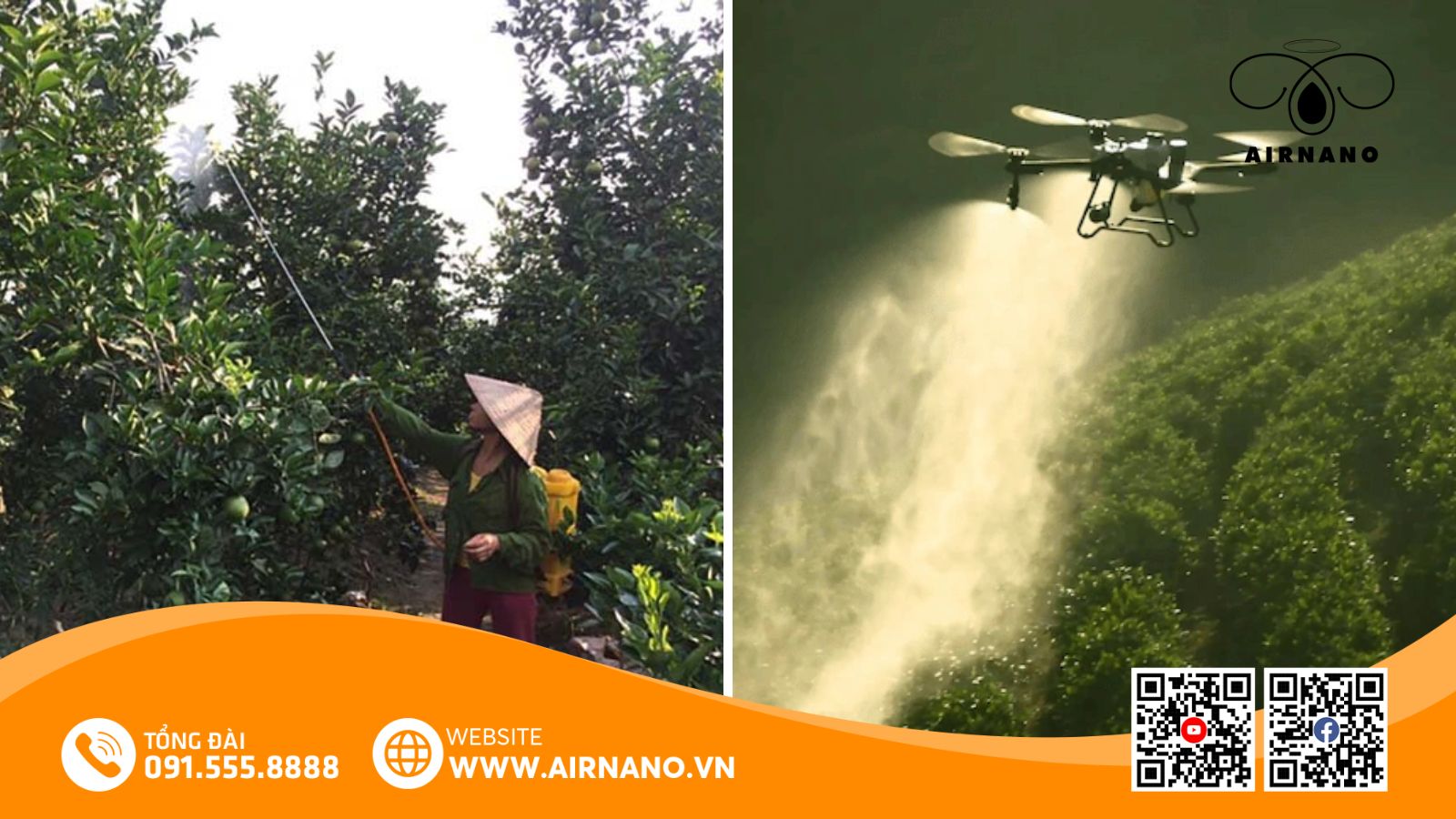 So sánh phương pháp phun truyền thống và máy bay phun thuốc cho cây mít