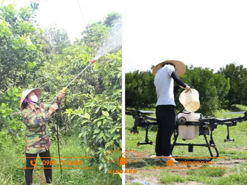 So sánh phương pháp phun truyền thống và máy bay phun thuốc cho cây sầu riêng