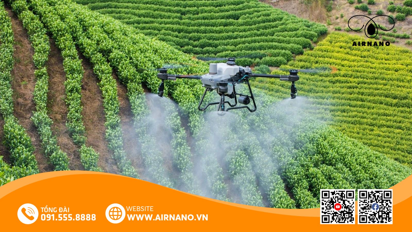 So sánh phương pháp phun truyền thống và máy bay phun thuốc cho cây xoài