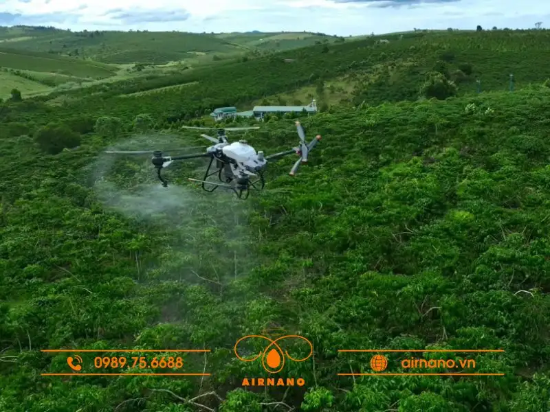 Ứng dụng máy bay phun thuốc cho cây cà phê