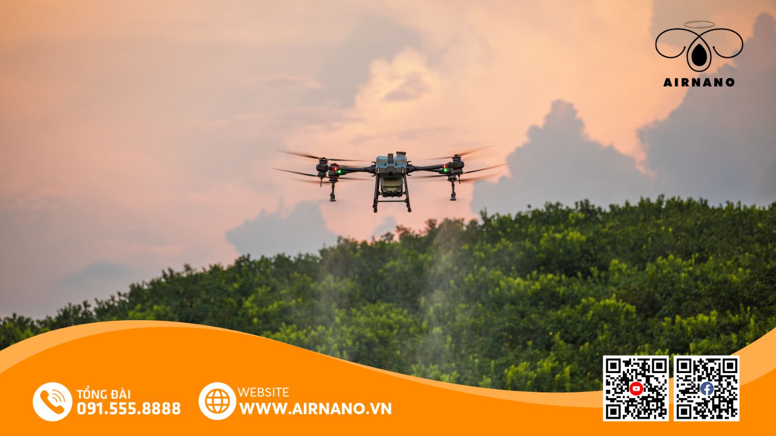 Ứng dụng máy bay phun thuốc cho cây nhãn