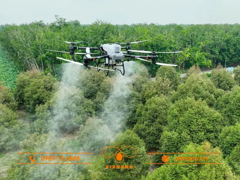 Ứng dụng máy bay phun thuốc cho cây sầu riêng
