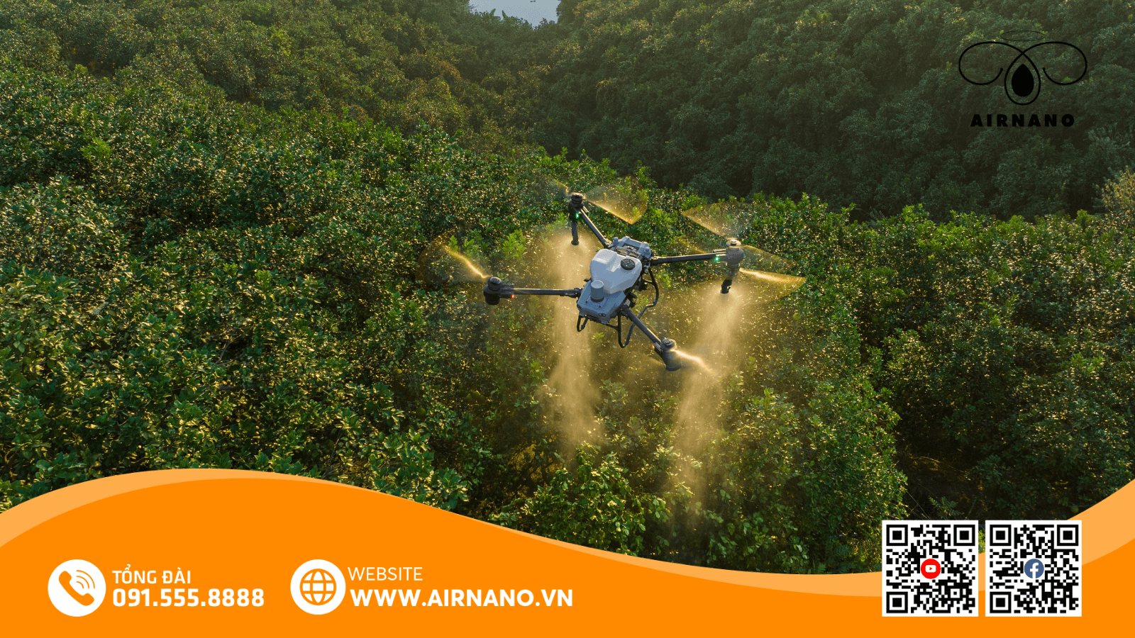 DJI T50 phun thuốc cho cây keo