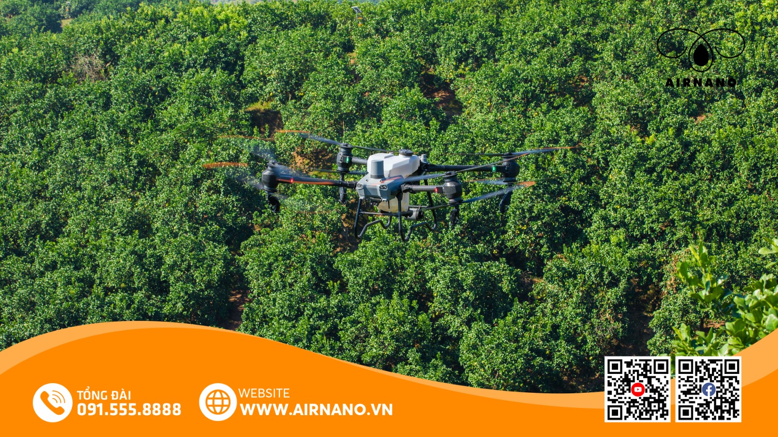 DJI Agras T50_ Giải pháp máy bay không người lái phun thuốc hiệu quả nhất cho cây ớt