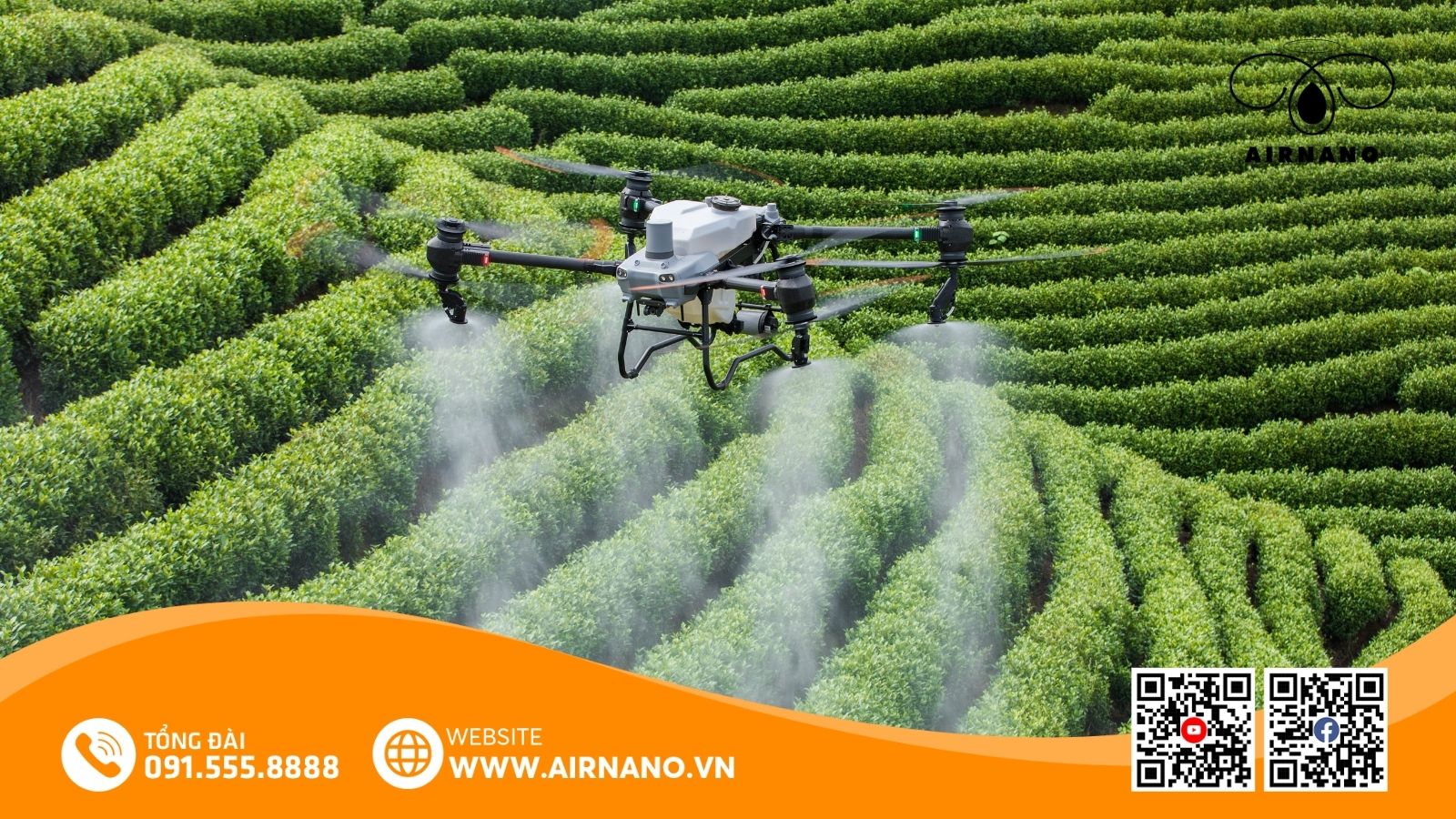 DJI Agras T50_ Giải pháp máy bay xịt thuốc hiệu quả nhất cho cây chè