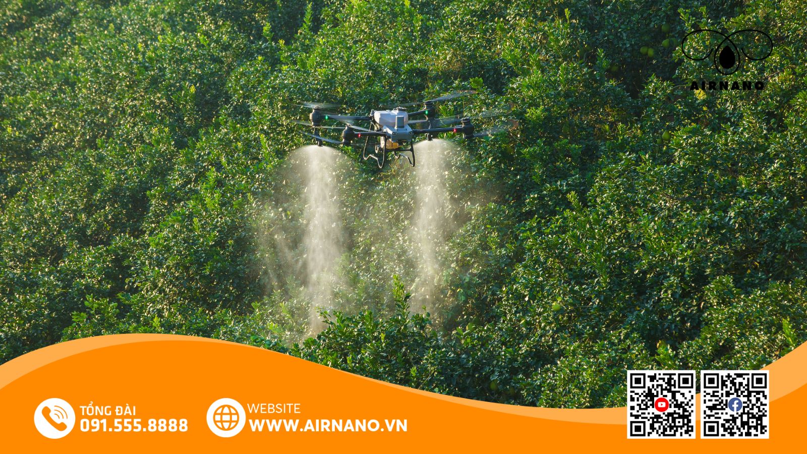 DJI Agras T50_ Giải pháp phun thuốc bằng máy bay hiệu quả nhất cho cây chôm chôm