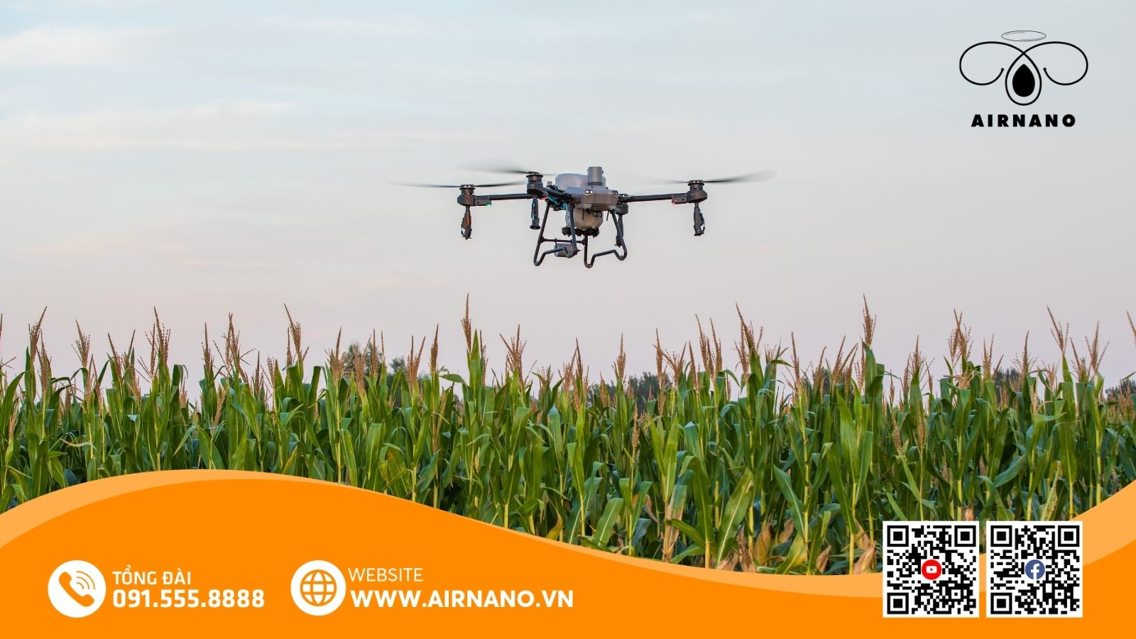 DJI Agras T50_ Giải pháp thiết bị bay phun thuốc tối ưu cho cây ngô